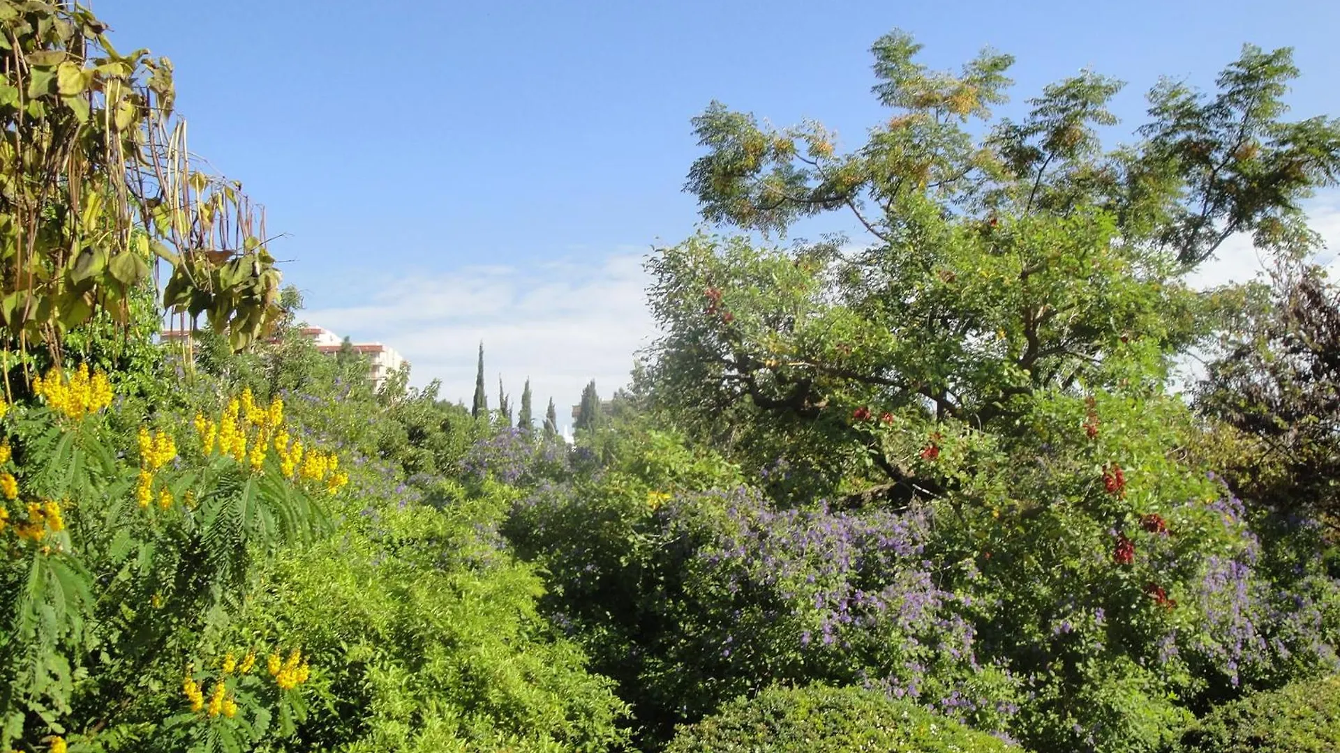 Vistas Al Mar Y Parque De La Paloma, A/C Apartment Arroyo De La Miel 0*,
