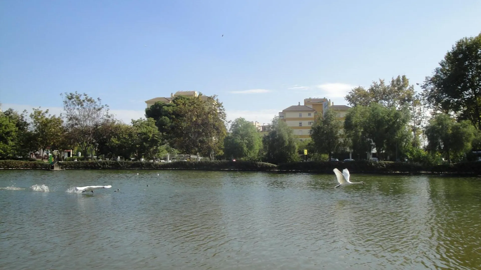 Vistas Al Mar Y Parque De La Paloma, A/C Apartment Arroyo De La Miel